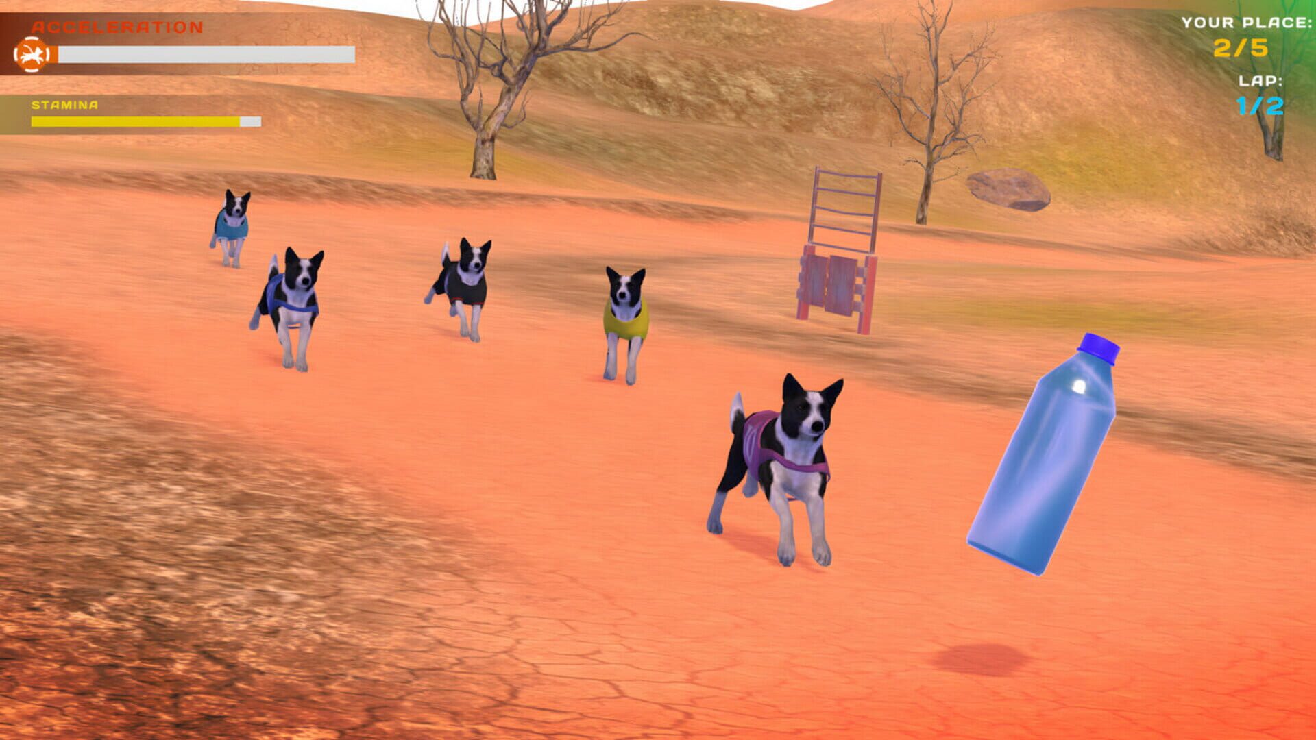 Dog Racing: Lovely Pet Friends Paw screenshot 1