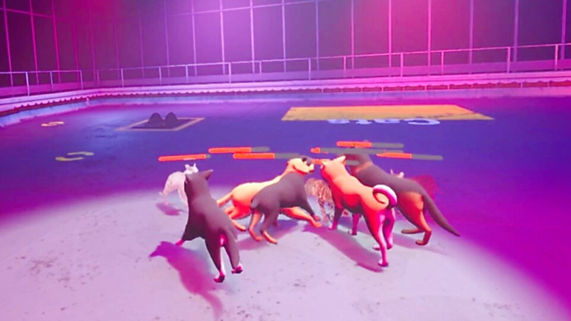 Claw Clash: Cat vs. Dog Betting screenshot 1
