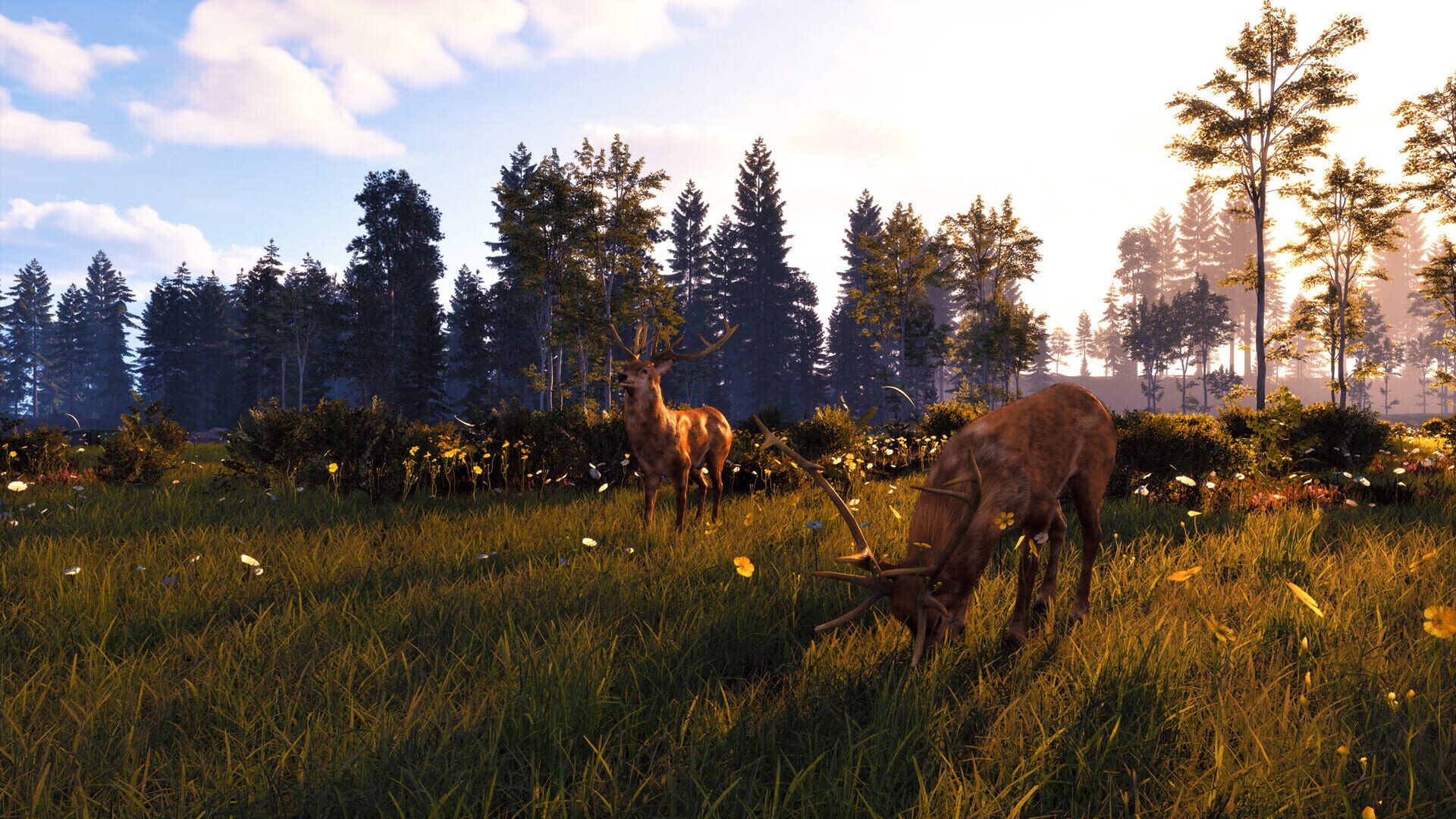Windstorm: Start of a Great Friendship - Remastered screenshot 1