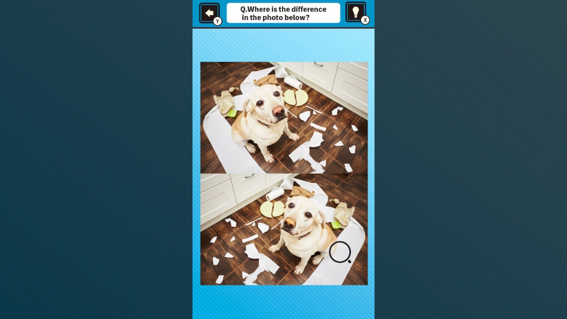 Train Your Brain! Spot the Difference with Dog Photos screenshot 1