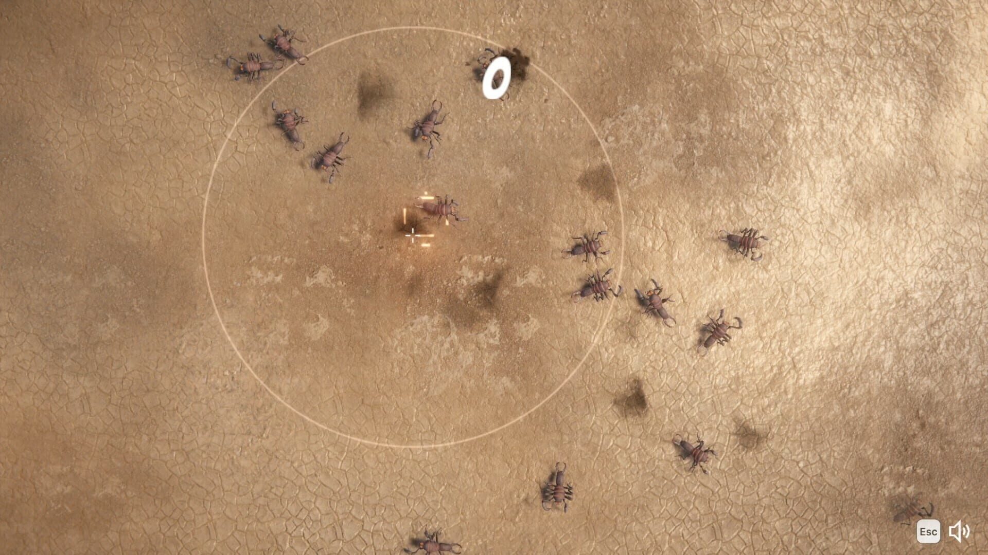 Bug screenshot 1