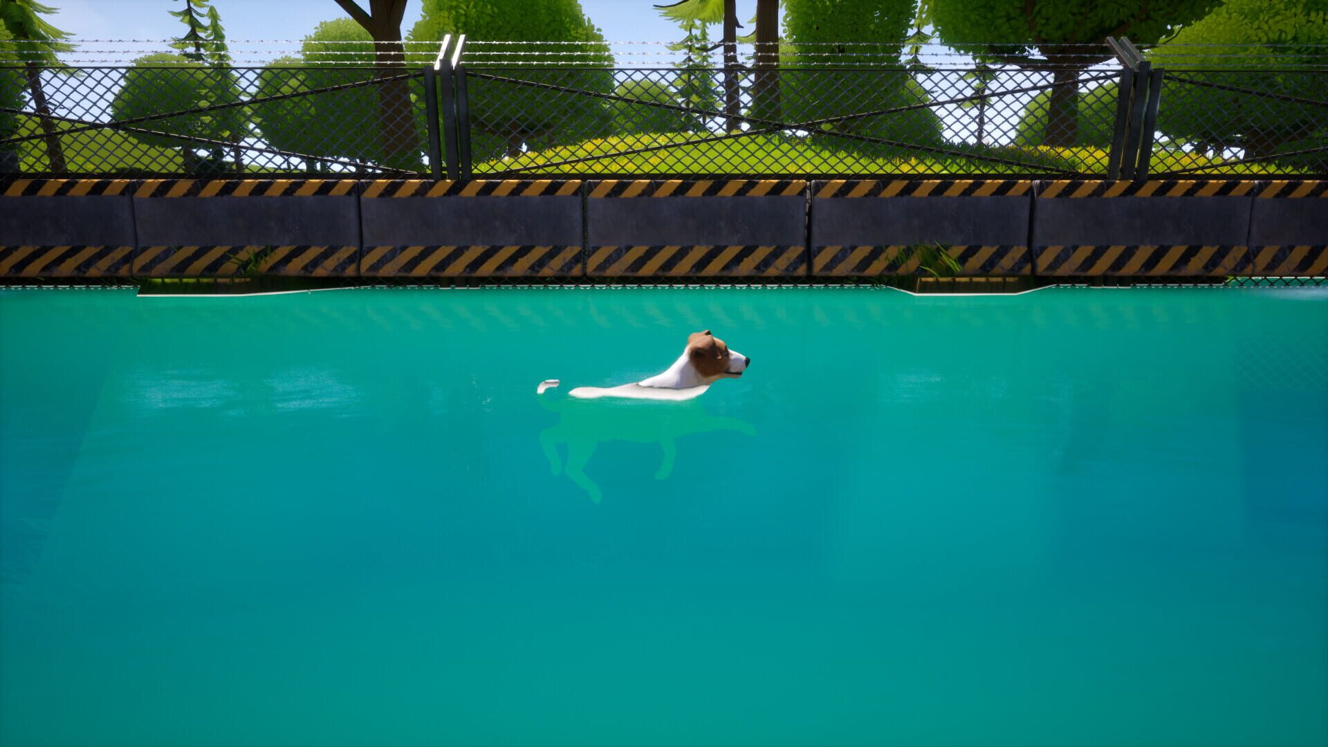 Dogs Club screenshot 1