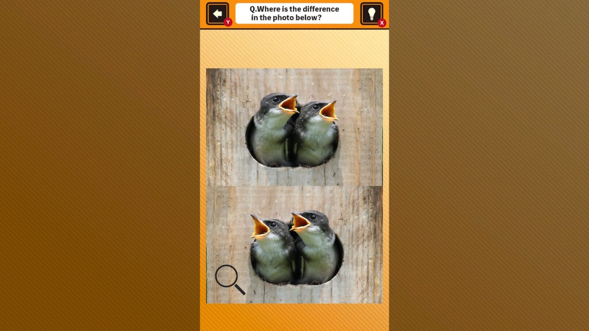 Train Your Brain! Spot the Difference with Animal Kids Photos screenshot 1