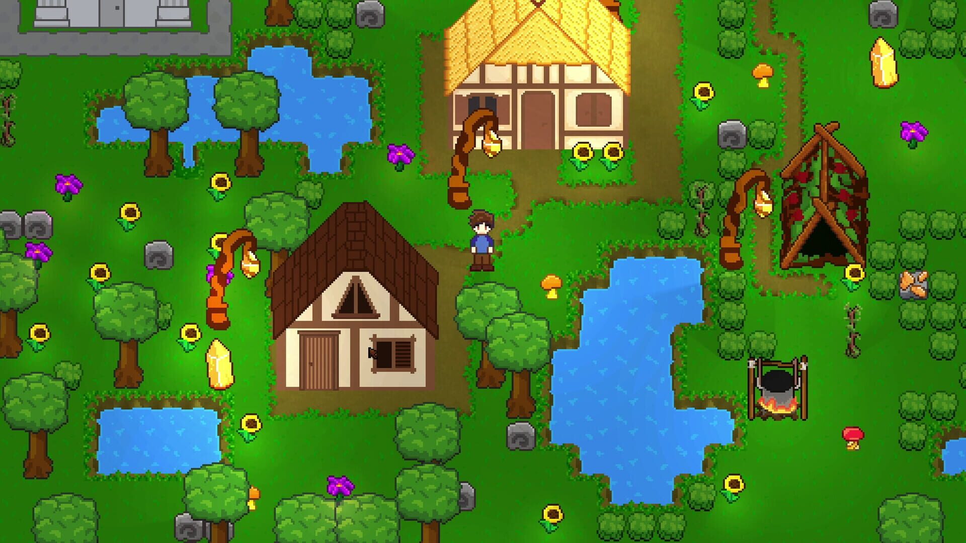 Topworld screenshot 1