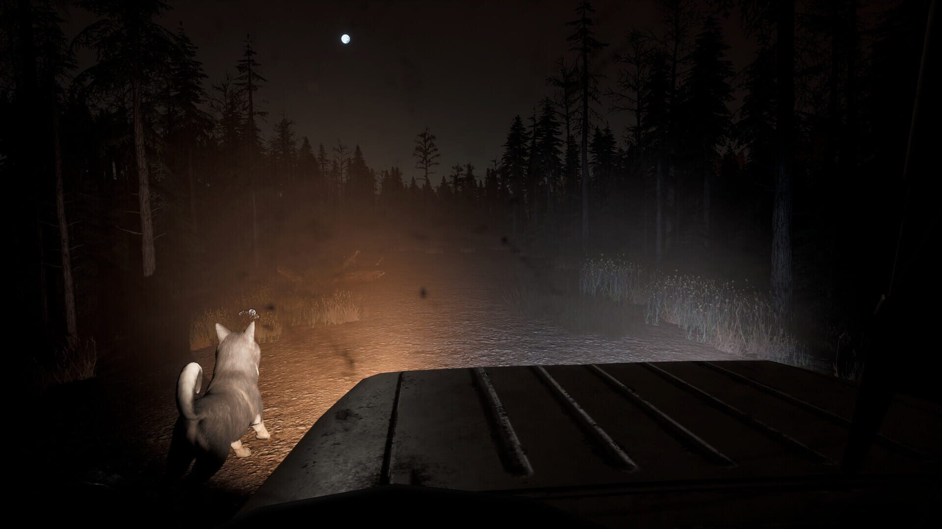 Setteeh screenshot 1