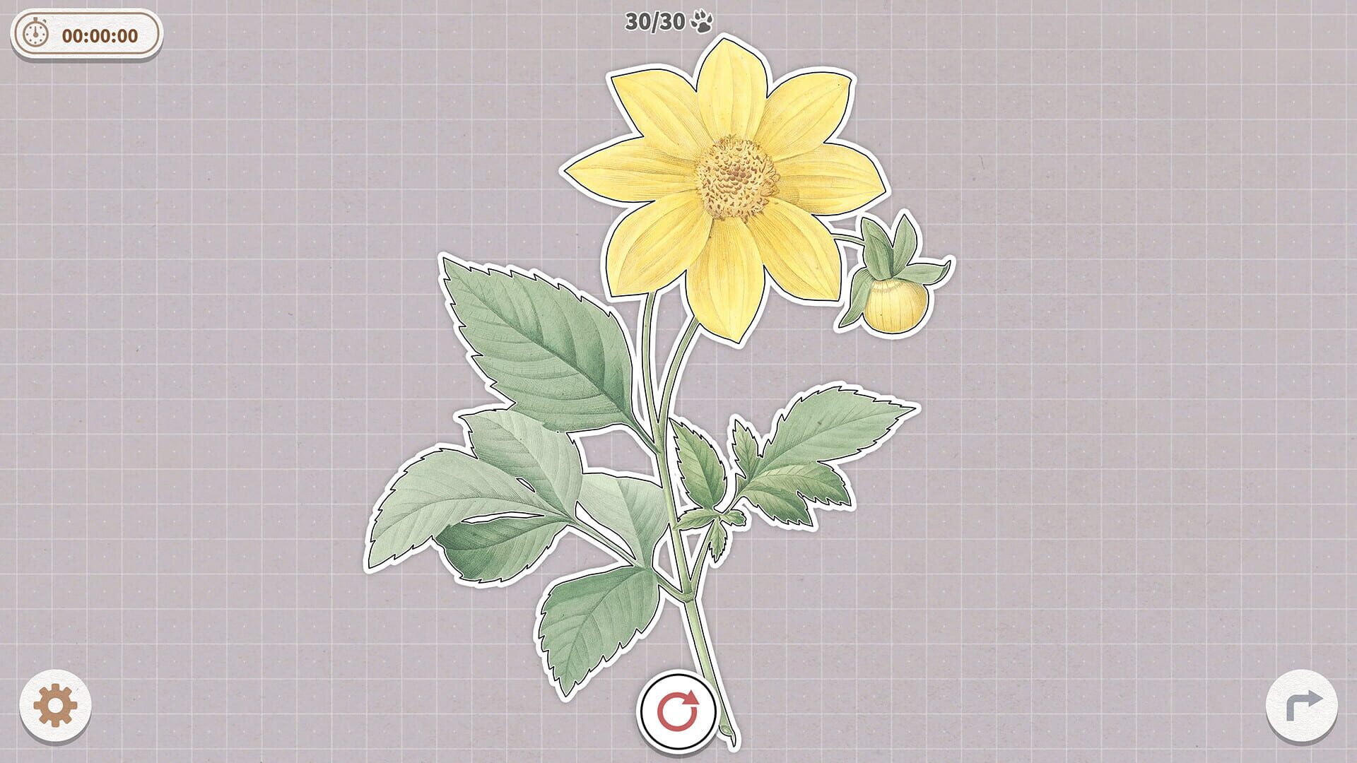 Plants Huddled Together screenshot 1