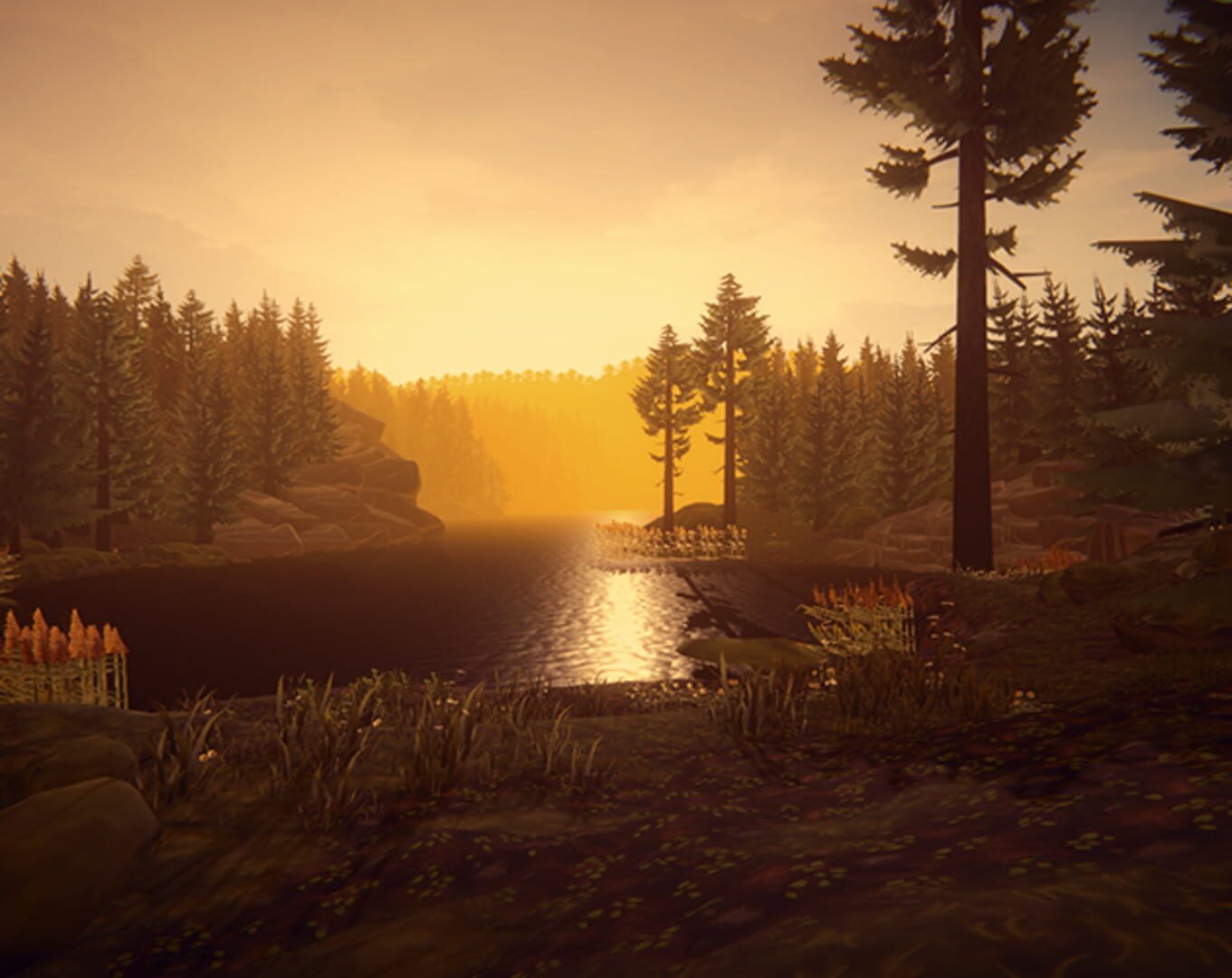Missing Picture screenshot 1