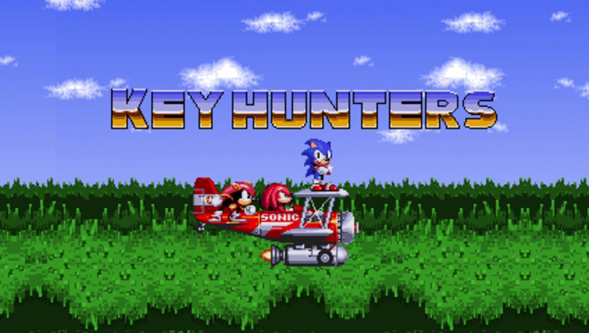 Sonic & Knuckles: Key Hunters screenshot 1