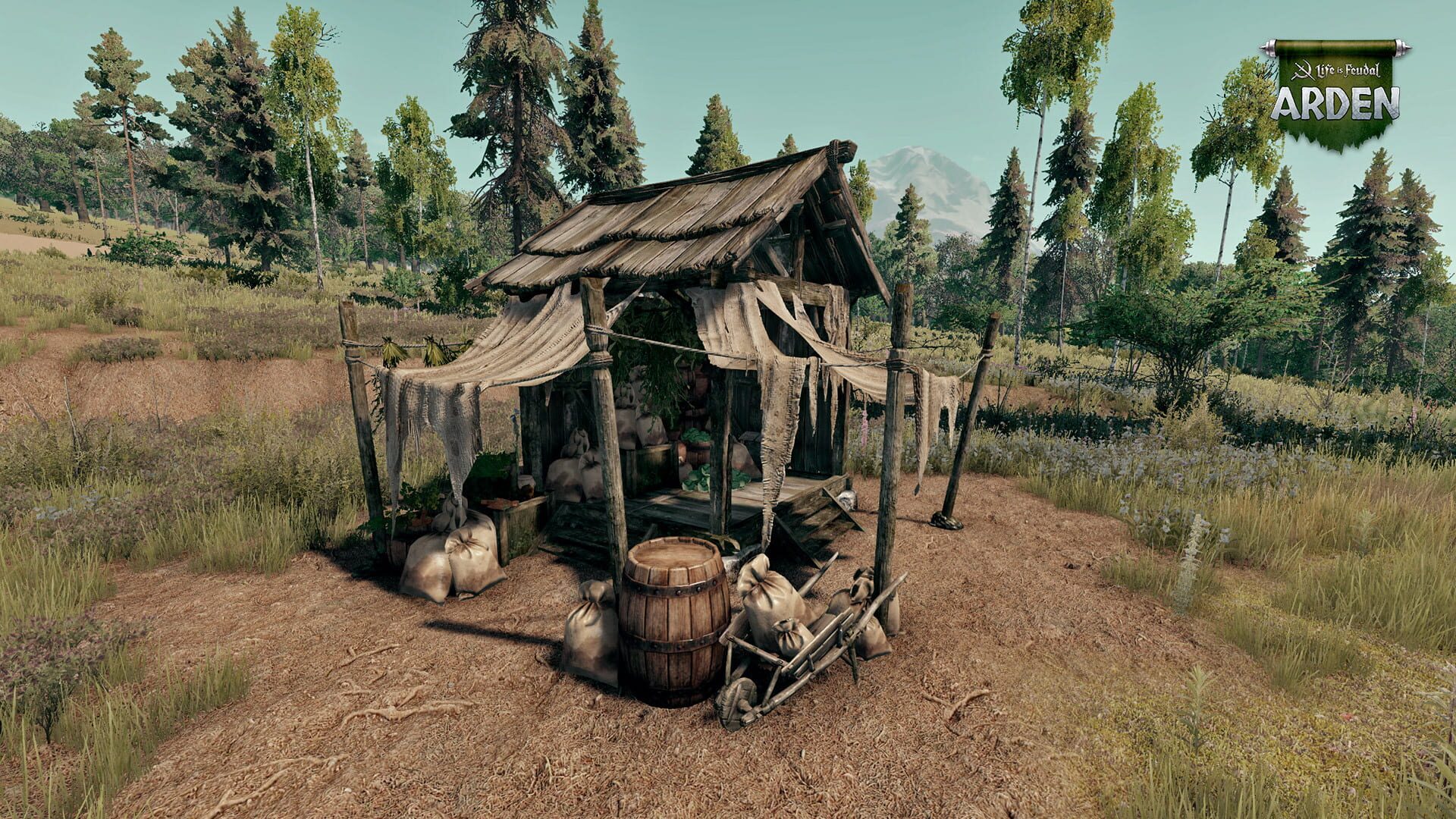Life is Feudal: Arden screenshot 1