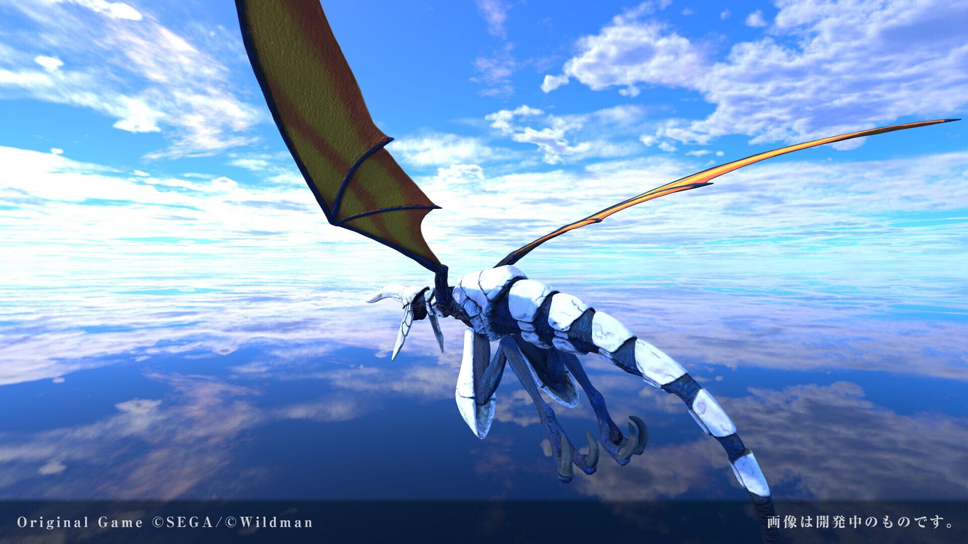 Panzer Dragoon Voyage Record screenshot 1