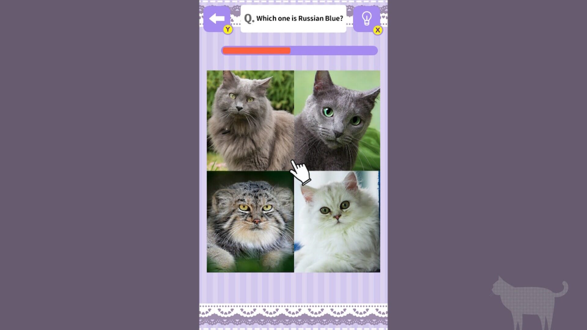 Cat Spotting Challenge! screenshot 1