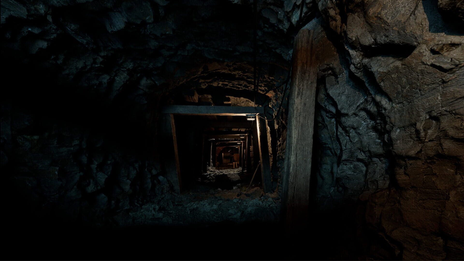Stolen Life screenshot 1