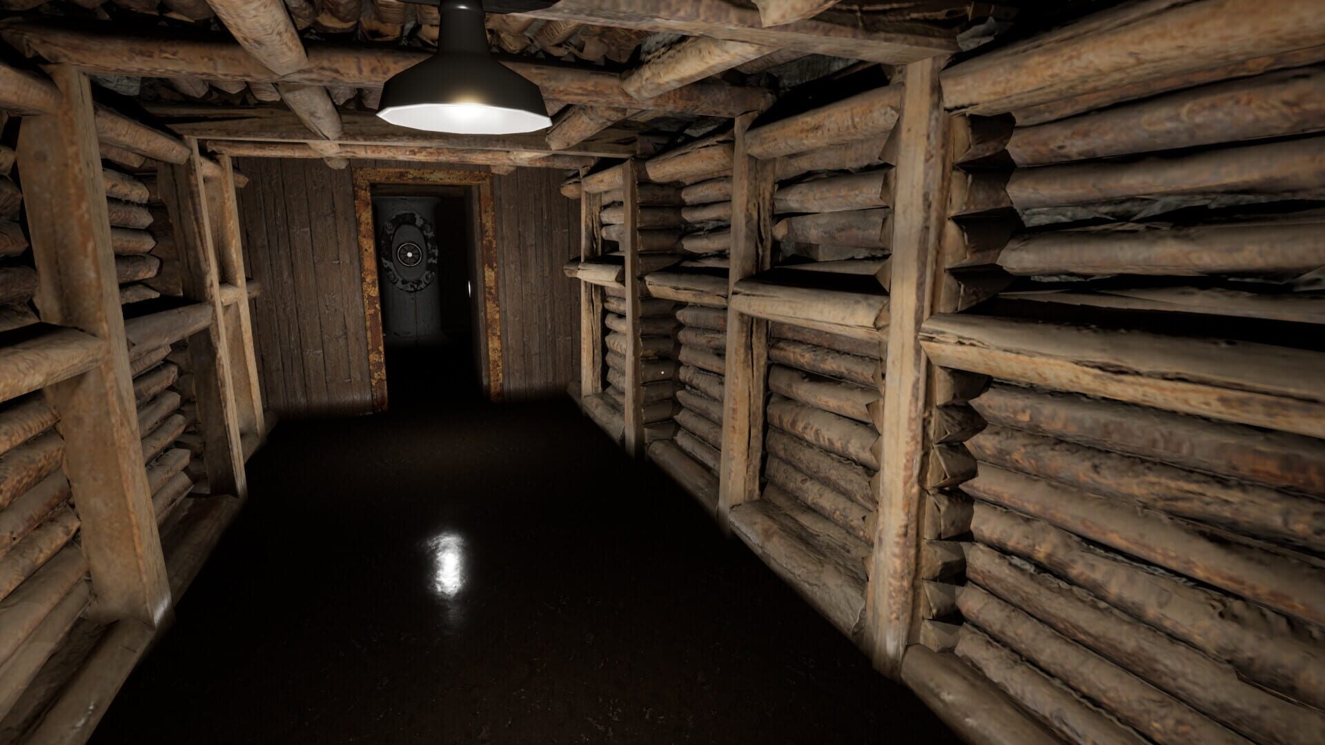 Three Doors: Labyrinth of Fear screenshot 1