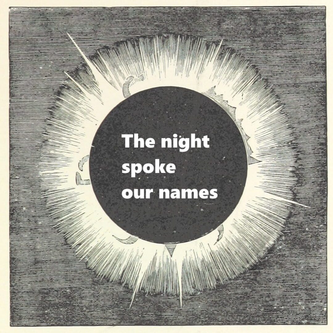 The night spoke our names screenshot 1