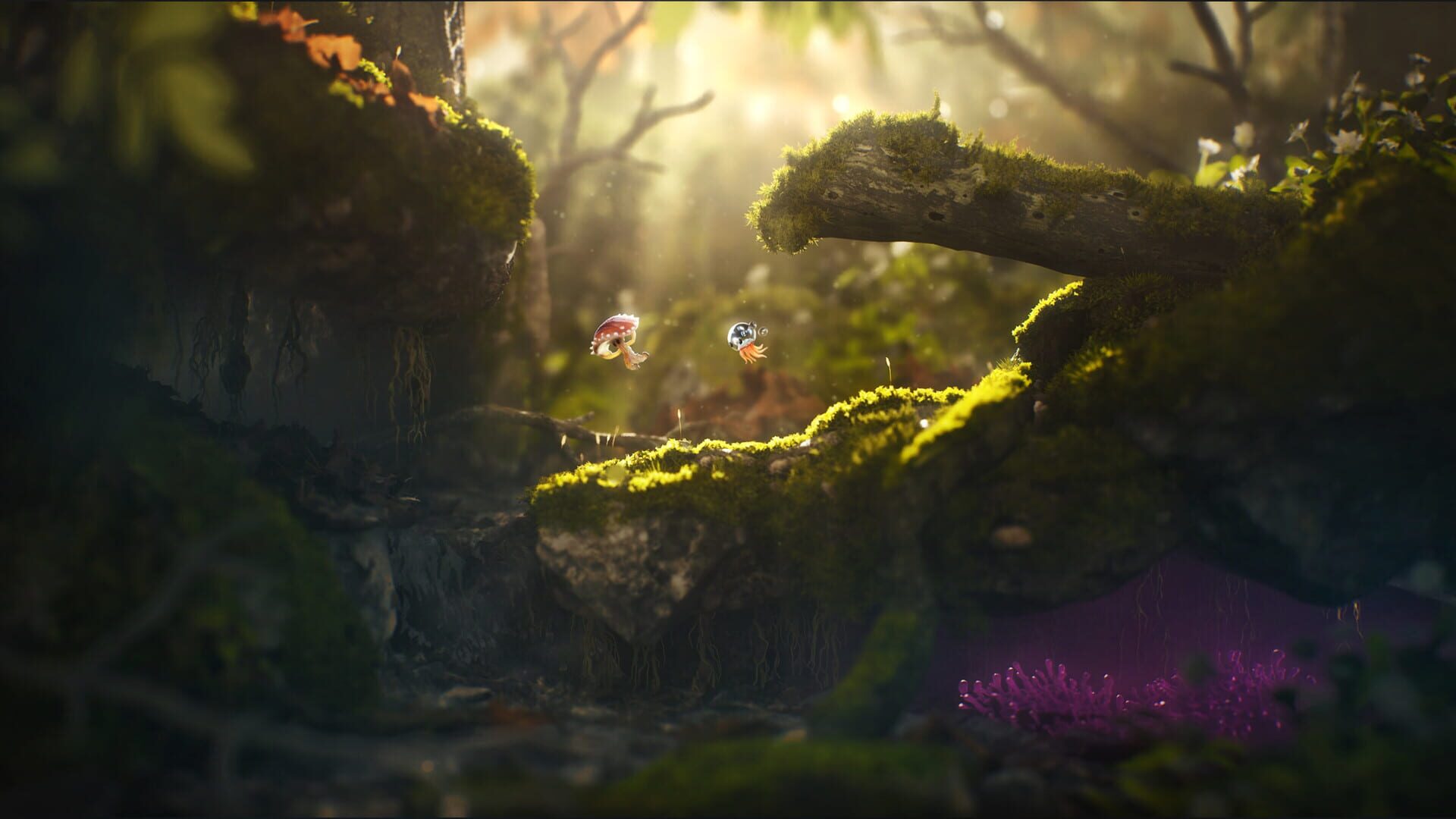Dew screenshot 1