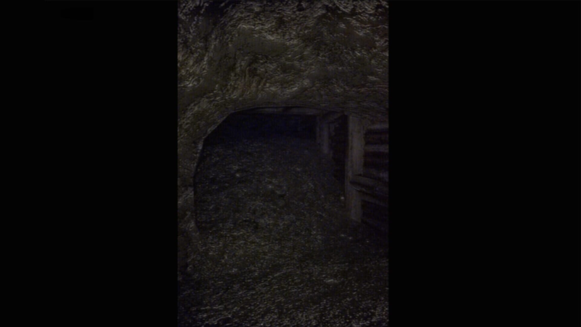 Missing screenshot 1