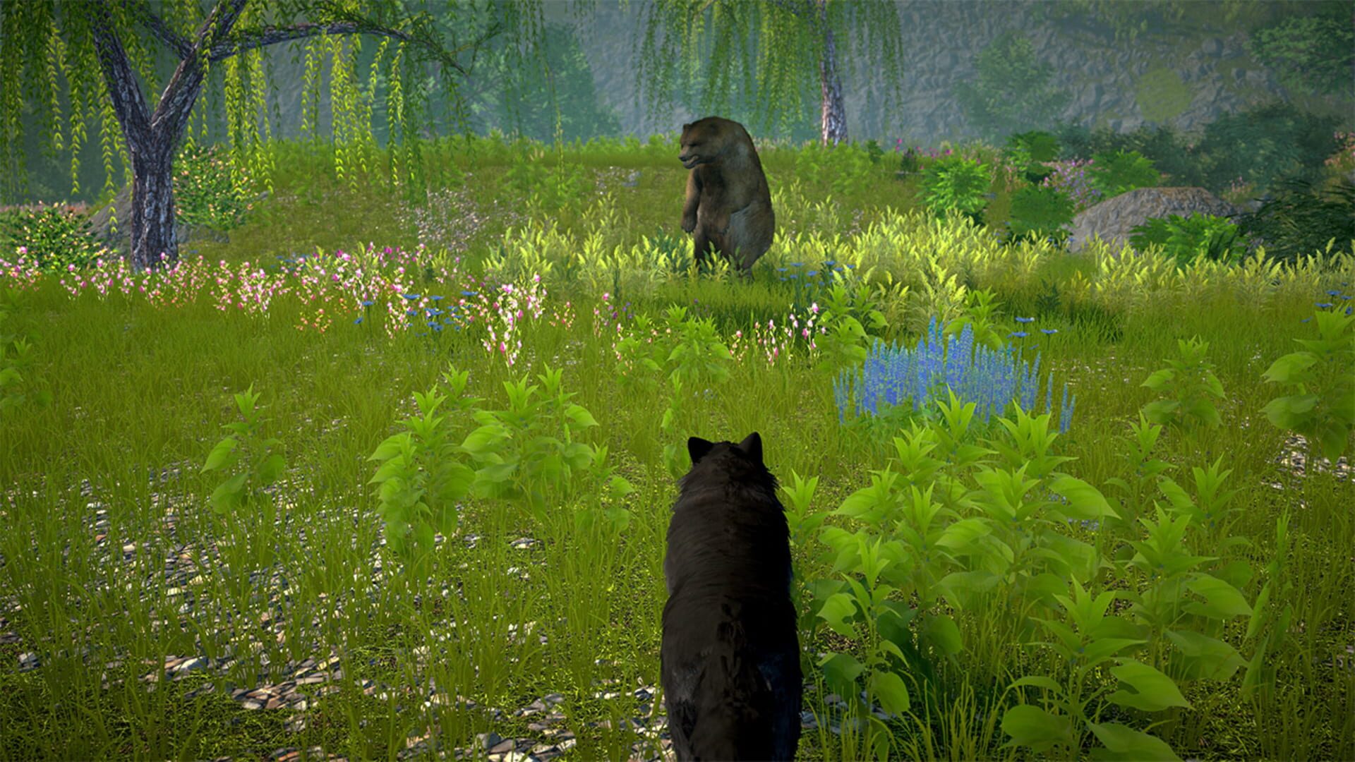 Wolf Simulator 2025: Wild RPG Survival screenshot 1