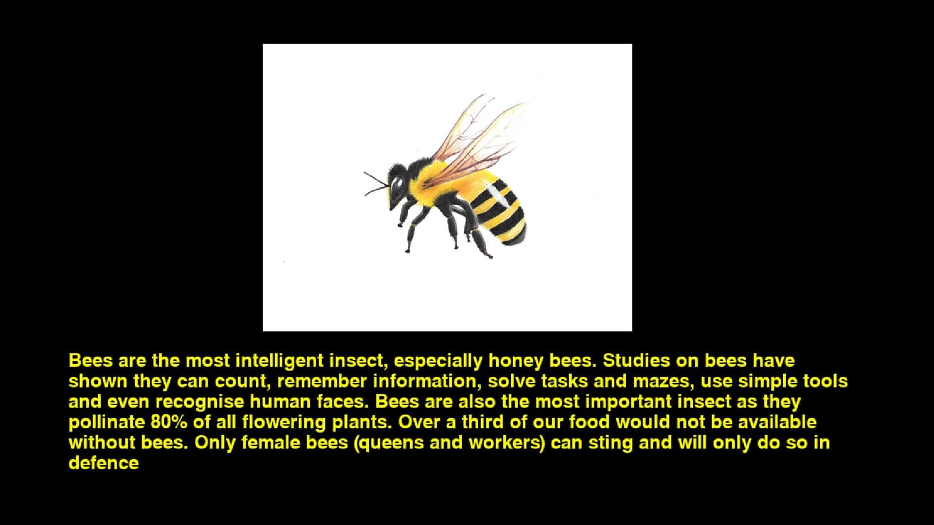Quiz & Learn: Animals screenshot 1