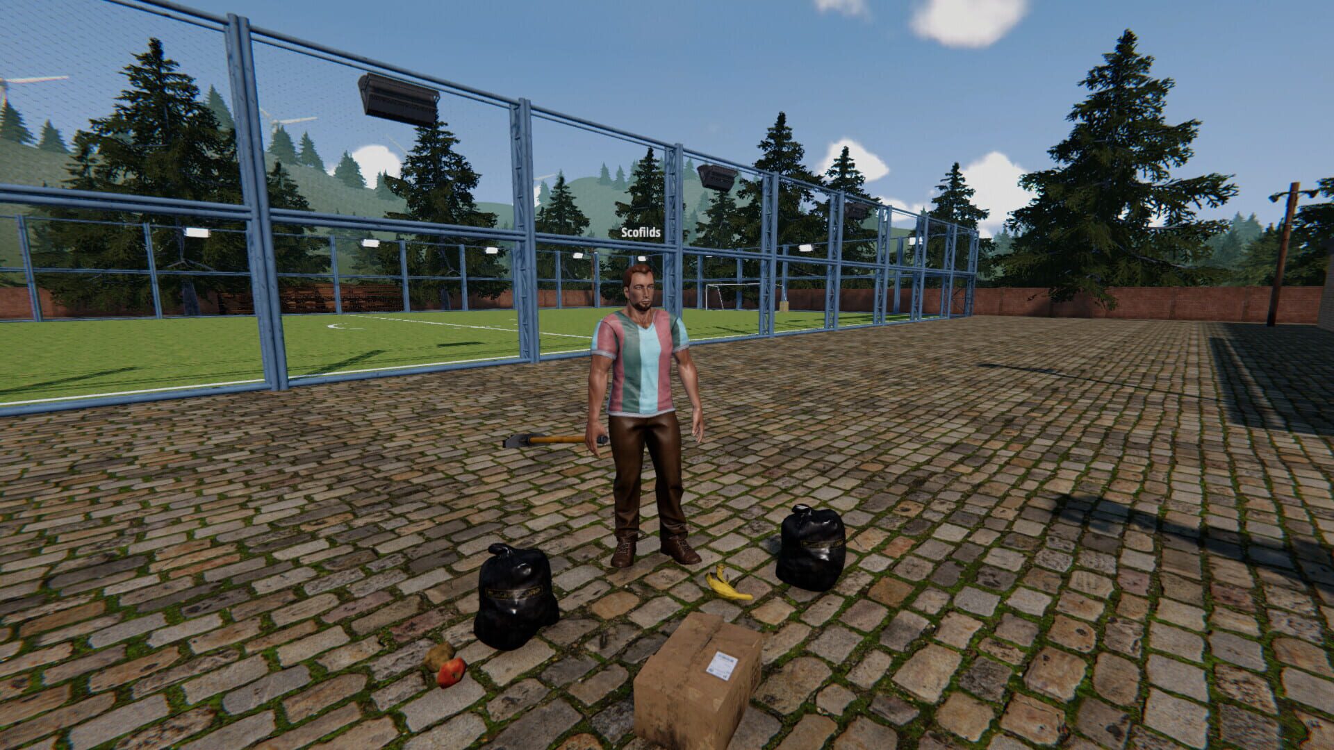 Football Pitch Simulator screenshot 1