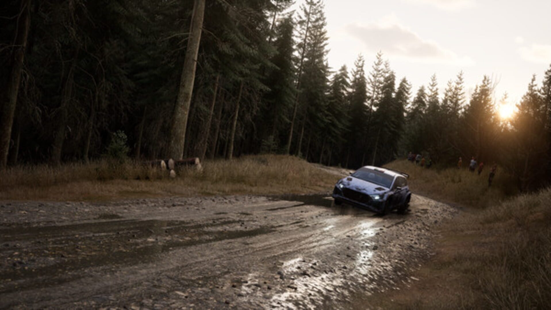 Assetto Corsa Rally screenshot 1