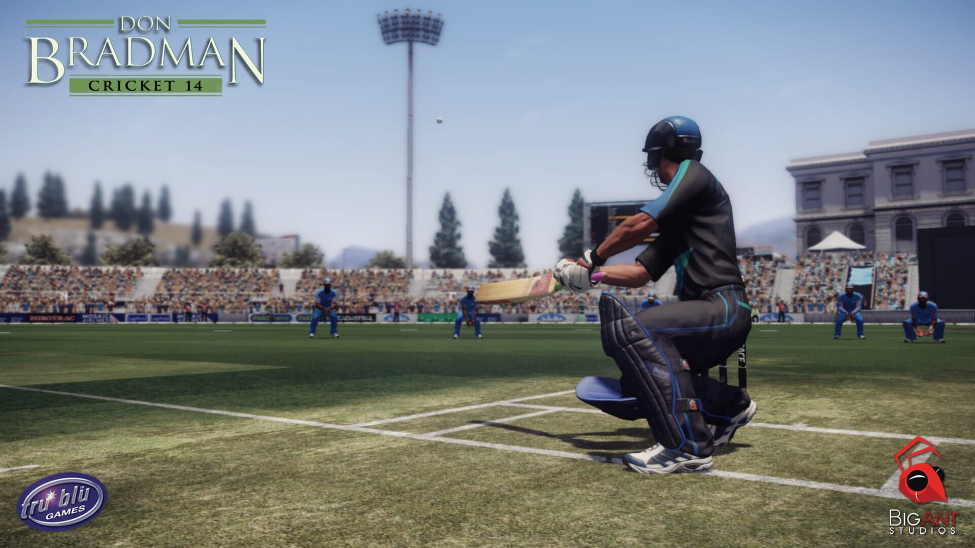 Don Bradman Cricket 14 screenshot 1