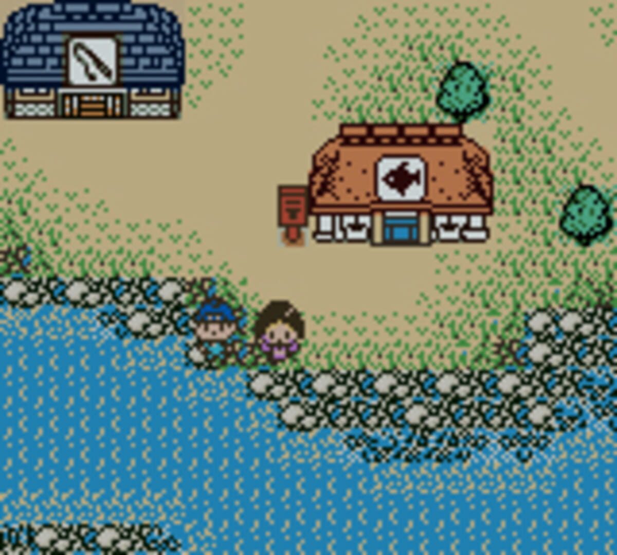 Legend of the River King GB screenshot 1