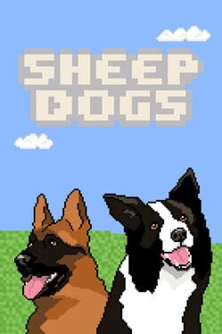 Sheepdogs