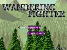 Wandering Fighter