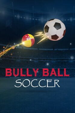 Bully Ball Soccer