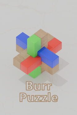 Burr Puzzle