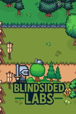 Blindsided Labs
