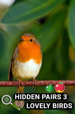 Hidden Pairs 3: Lovely Birds