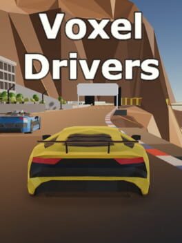 Voxel Drivers