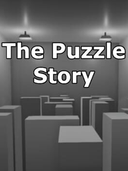 The Puzzle Story