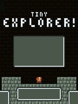 Tiny Explorer