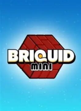 Briquid Mini