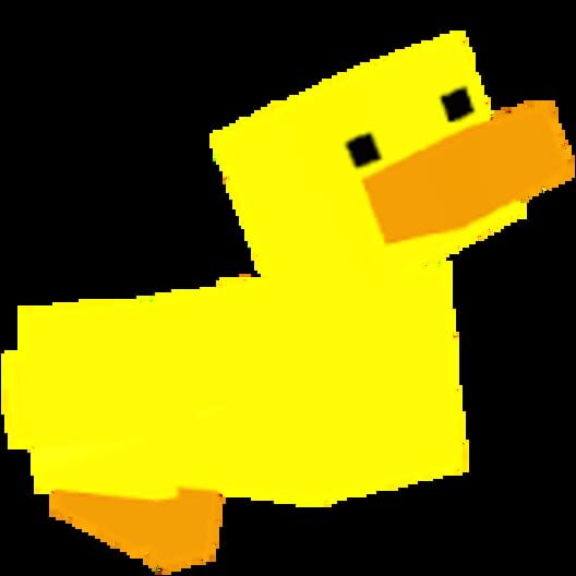 Feed Some Ducks