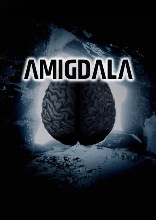 Amigdala