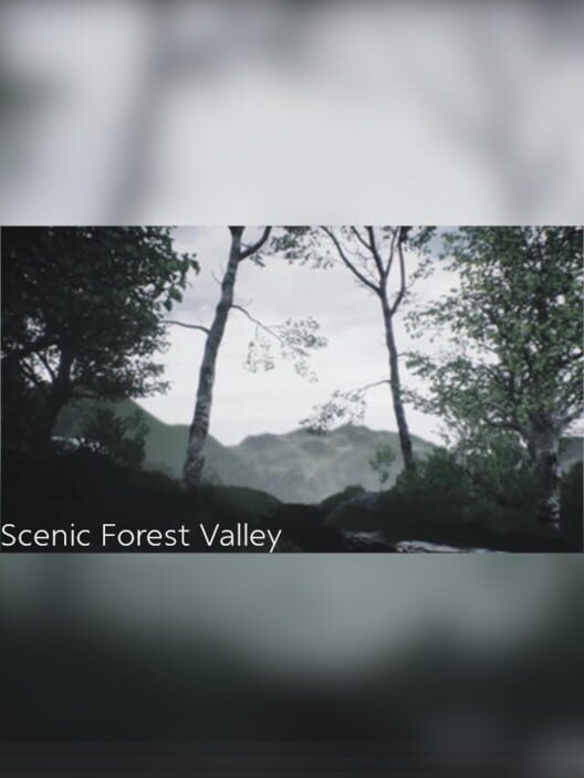 Scenic Forest Valley
