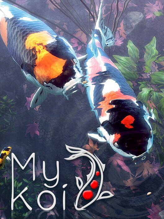 My Koi