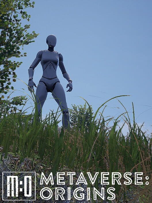 Metaverse: Origins