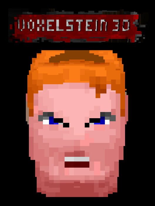 Voxelstein 3D