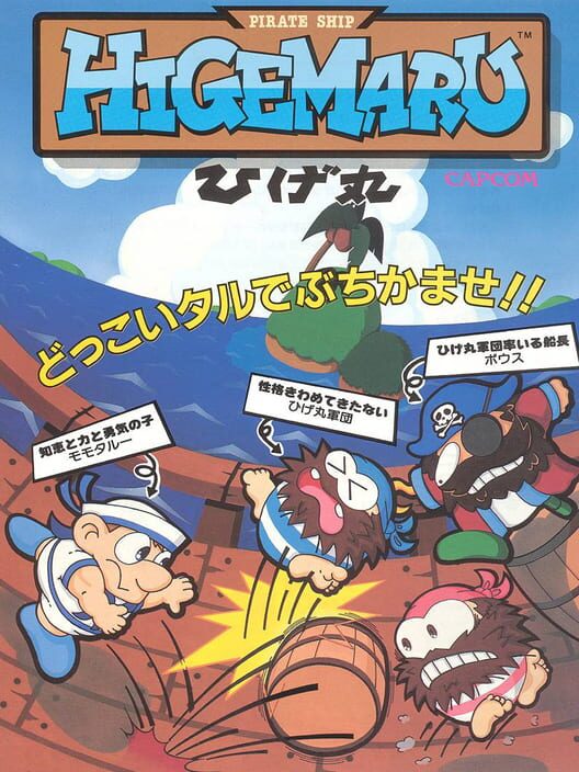 Pirate Ship Higemaru
