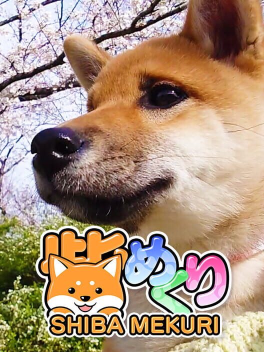 Shiba Mekuri