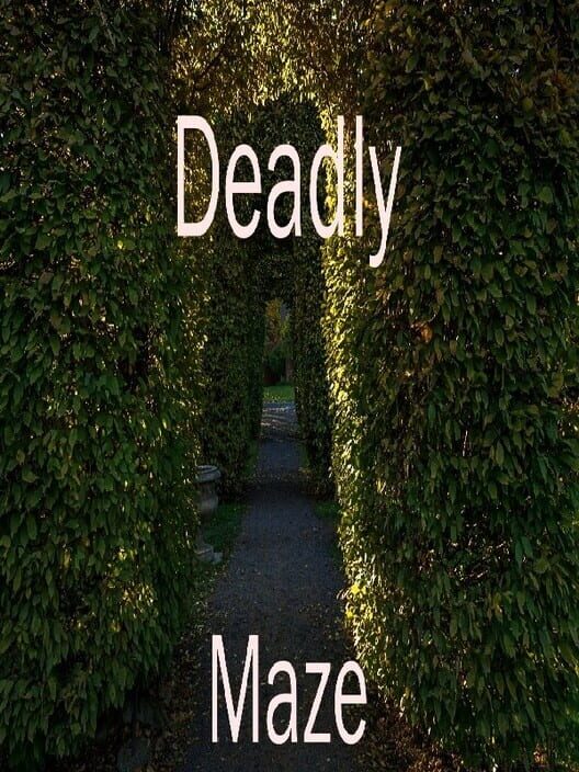 Deadly Maze