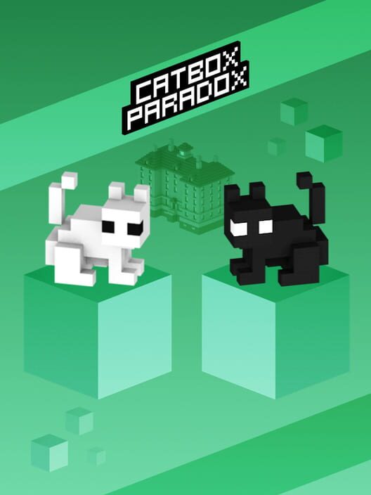 Cat Box Paradox