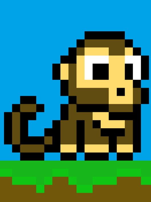 Monkey Time