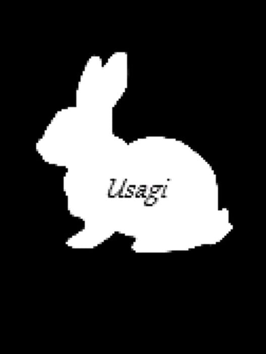 Usagi