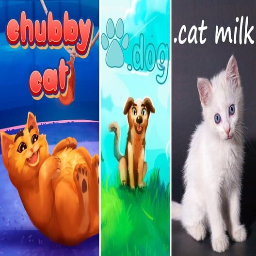 2 Cats & 1 Dog