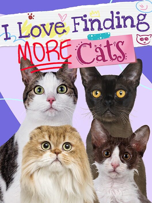 I Love Finding More Cats